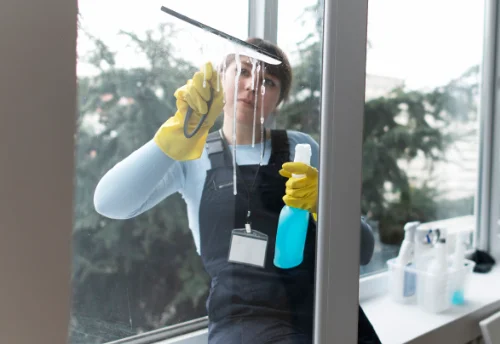 Nettoyage de vitres intérieures et extérieures à la Roche-sur-Grane